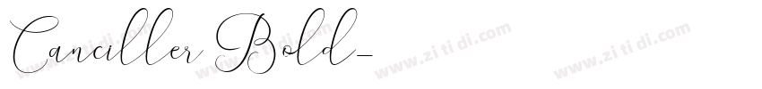 Canciller Bold字体转换
